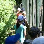 phoca_thumb_m_horeky  55 Fotogalerie